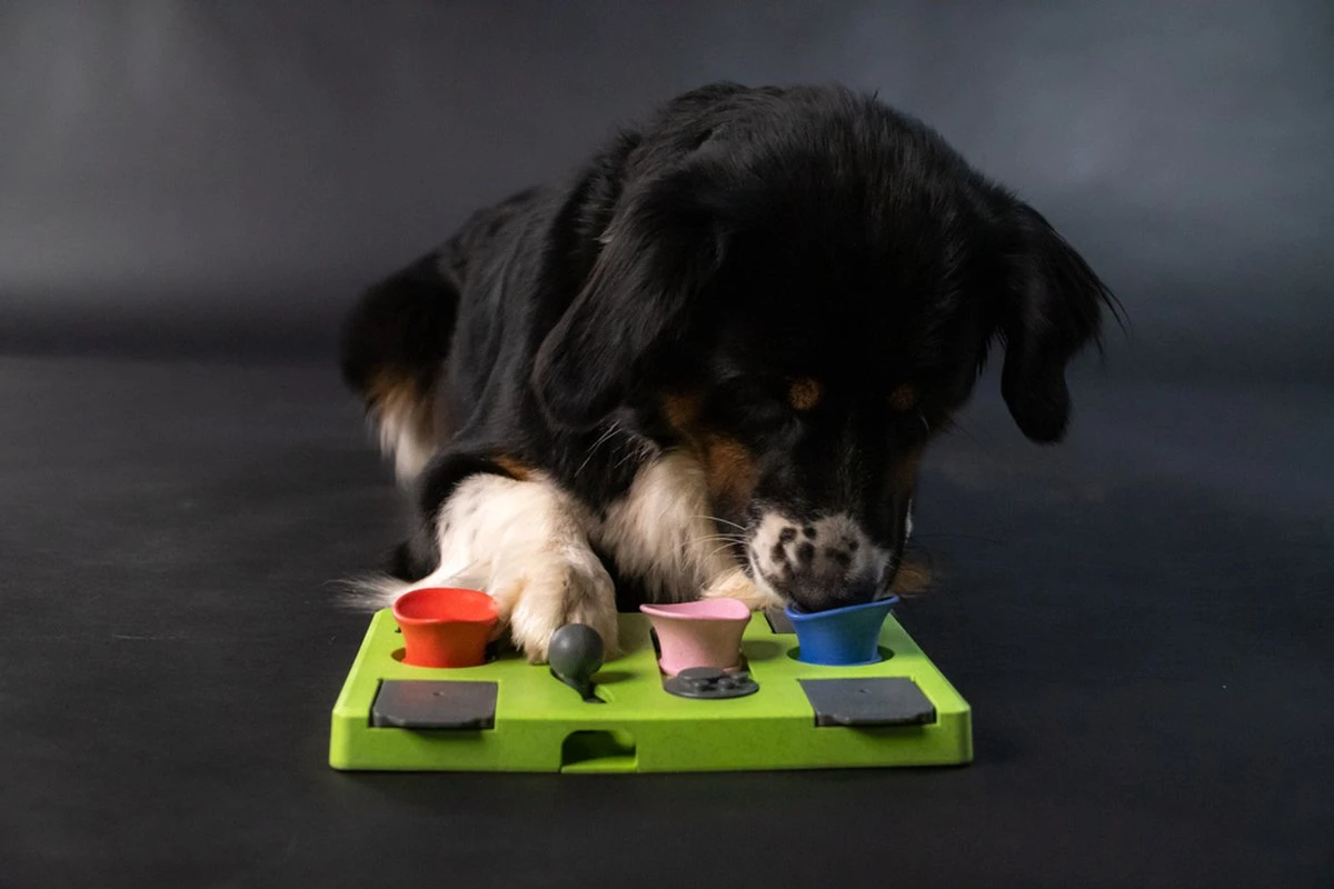 Eat Slow Live Longer Puzzel Rectangle – Intelligentie Speelgoed Voor Honden – Interactief Hondenspeelgoed – Uitdagende Hondenpuzzel – Gerecyclede Materialen – Te Vullen Met Snacks - 25x26x5 Cm - Groen - Afbeelding 3