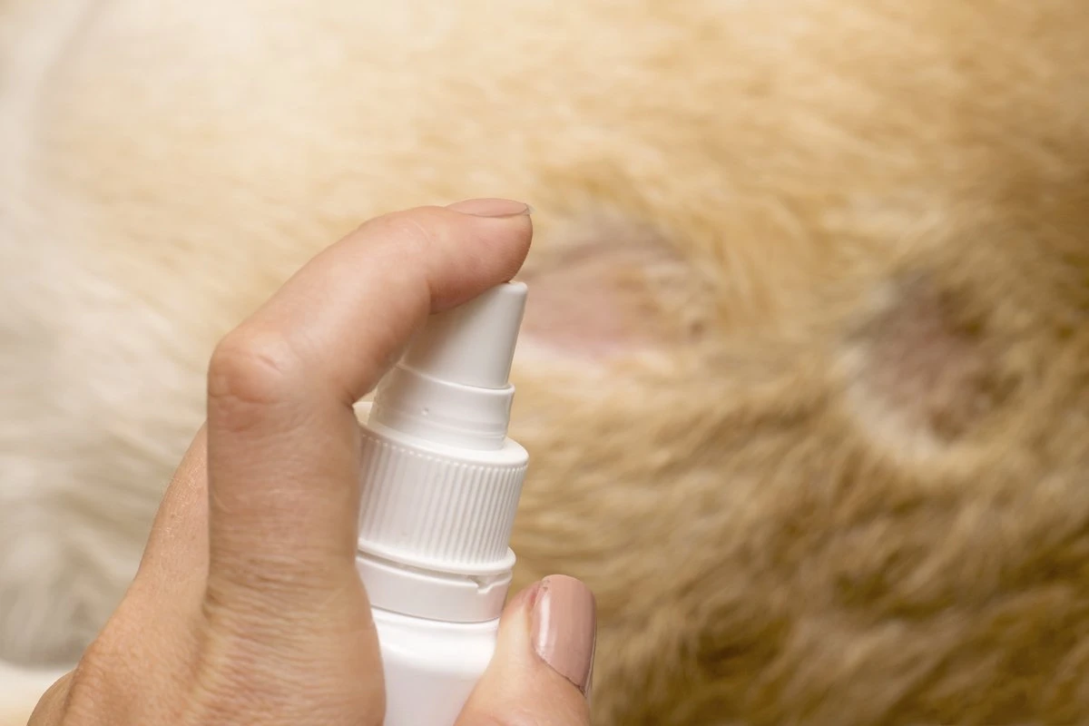 Petoxil Pet Spray Met Colloïdaal Zilver Is Speciaal Ontworpen Voor Gebruik Op Alle (huis) Dierensoorten. Revolutionair In Hygiëne - Afbeelding 4