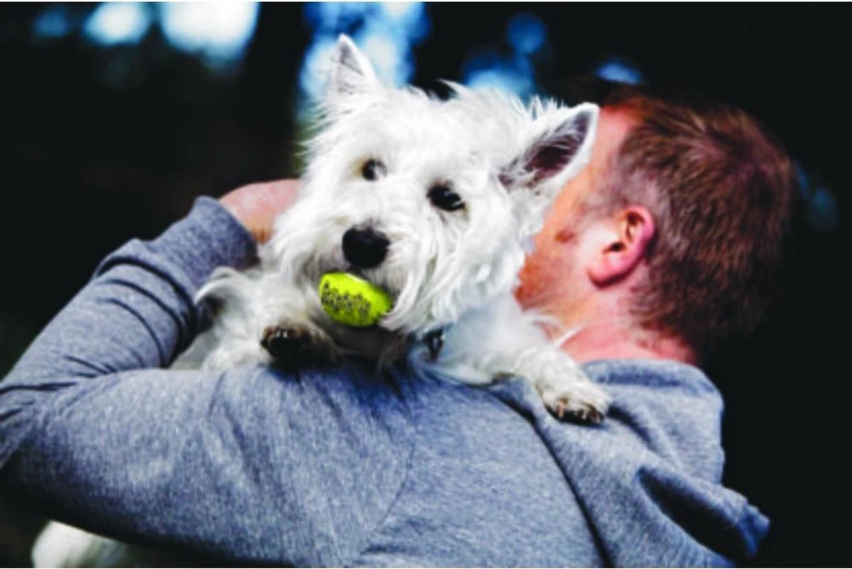 Kong Squeakair Ball - Hondenspeelgoed - 6 St - Afbeelding 4