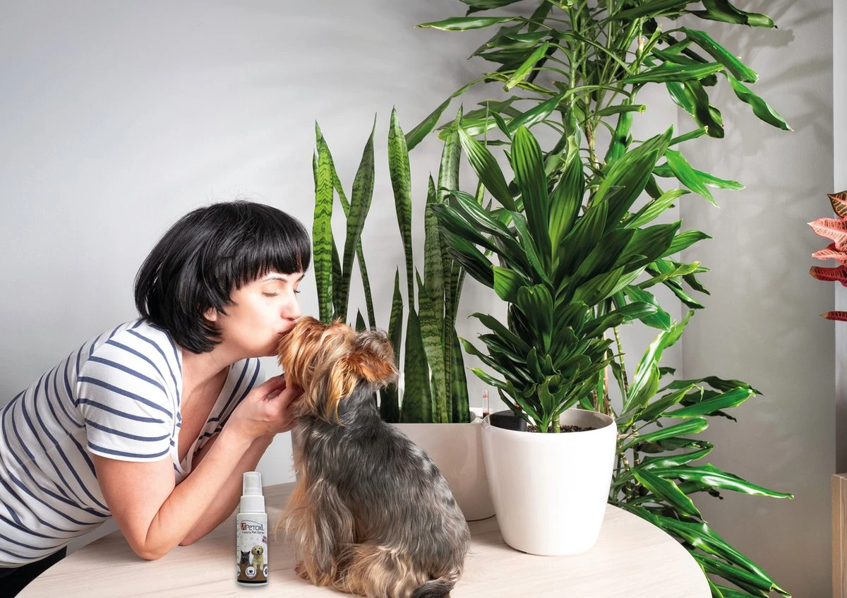 Petoxil Pet Spray Met Colloïdaal Zilver Is Speciaal Ontworpen Voor Gebruik Op Alle (huis) Dierensoorten. Revolutionair In Hygiëne - Afbeelding 2