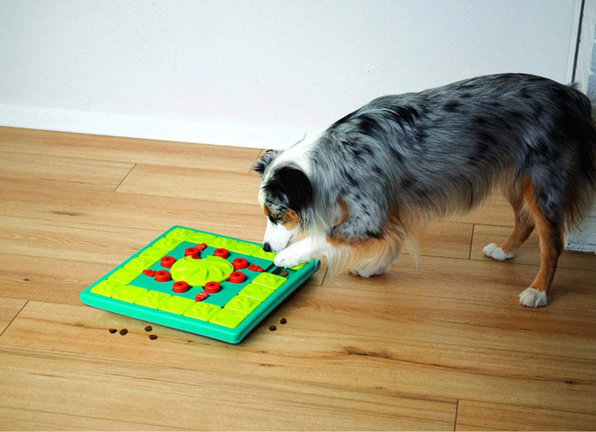 Nina Ottosson Interactieve Hondenpuzzel Vulbaar Met Snacks Voor De Slimste Honden - Outward Hound Multipuzzle - Afbeelding 3