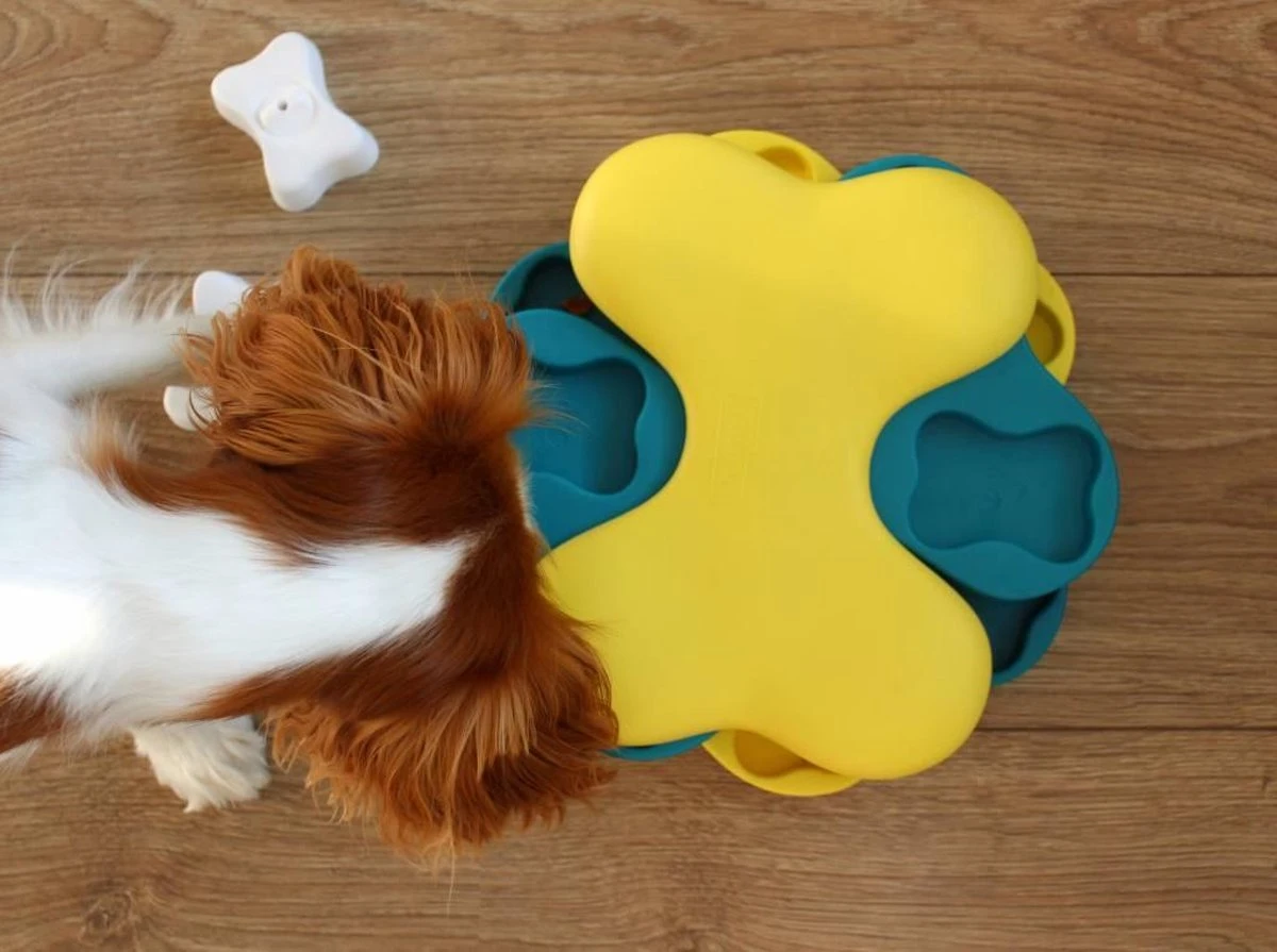 Nina Ottosson Dog Tornado Blu - Afbeelding 9