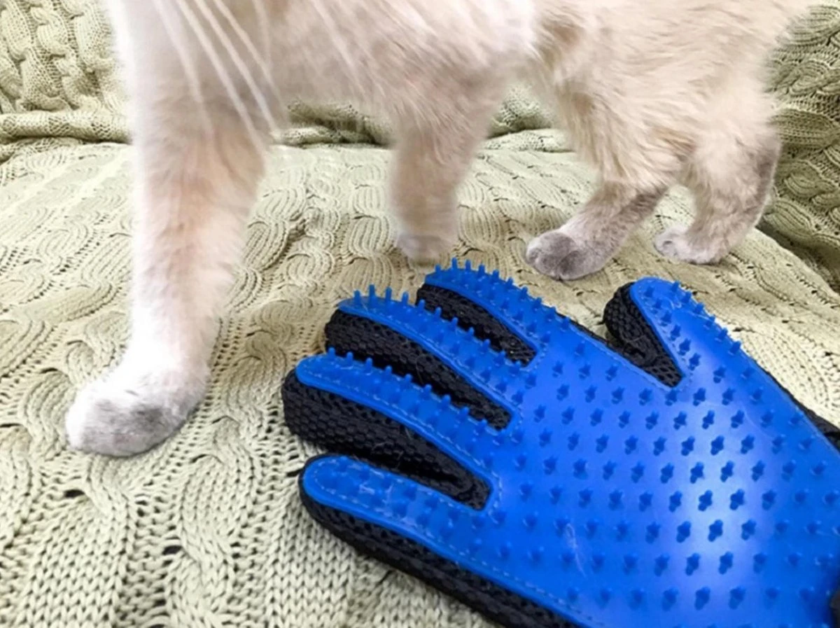 Vacht Verzorgingsborstel Voor Huisdieren - Blauw - LimitedDeals - Voor Honden Katten Konijnen Paarden - Tevens Massage Handschoen Voor Dieren! - Goed Voor De Verzorging Van De Vacht - Afbeelding 9