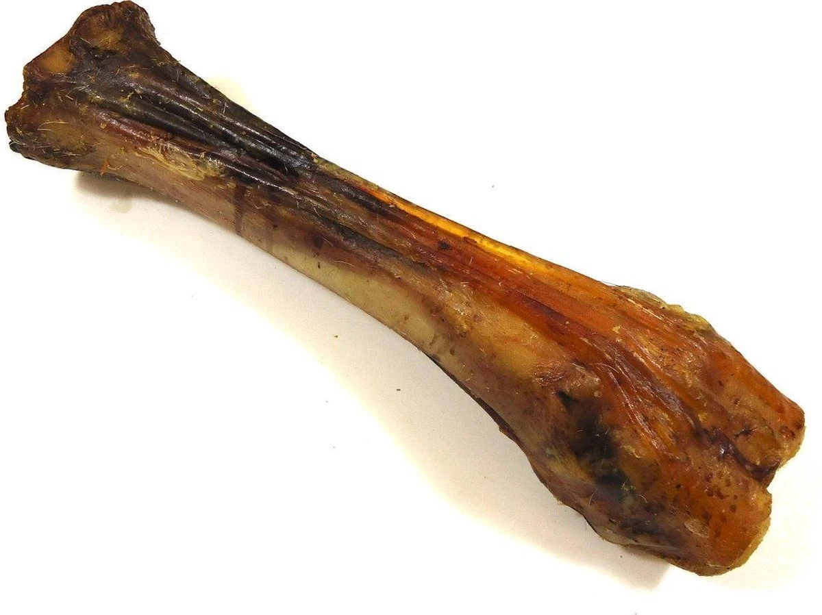 Runderbot XL 5 Stuks - Gedroogde Kauwbotten - Hondenbotten Hondensnacks Van De Snackmeester 100% Natuurlijk Natural Naturel