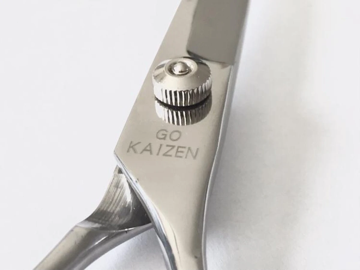 Professionele Hondenscharen Set - Extra Veilige Grooming Set - Trimscharen Voor Honden - Knipschaar - Effileerschaar / Uitdunschaar - Gebogen Schaar Met Ronde Punt - Precisieschaar - Hondenverzorging - Inclusief Kam, 2 Haarclips En Luxe Opbergdoos - Afbeelding 3