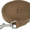 Hondenriem 10 Meter | Gerecycled Nylon | Lange Lijn | Leiband Hond 10m | Trainingslijn | Bruin