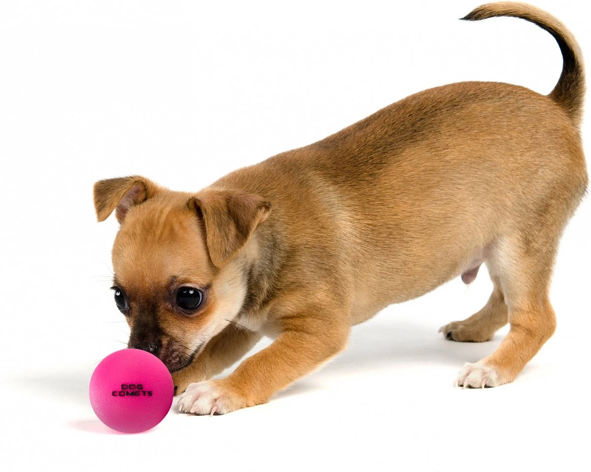 Dog Comets Ball Stardust Roze M 2pack – Honden Bal – Honden Speelgoed – Bal Voor Apporteren Van Uw Hond – Natuurlijk Rubber – Bal Diameter Van 6 Cm - Afbeelding 5