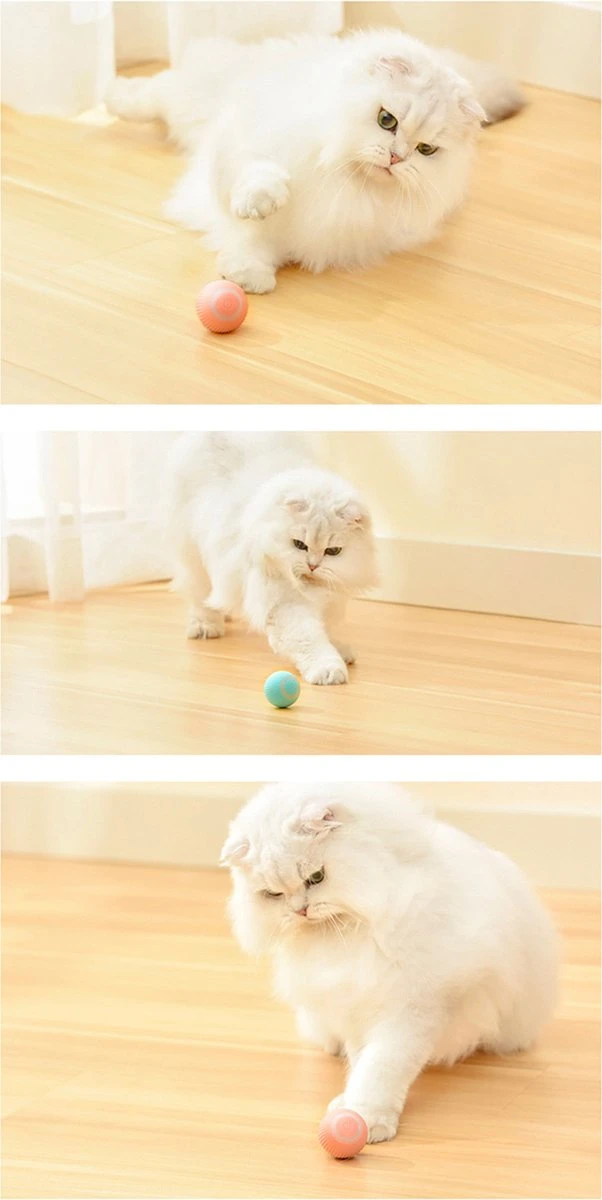 Merkloos Pecute® Elektrische Speelbal - Slimme Interactieve Zelfrollende Bal - Kat En Hond Speelgoed - Kattenspeelgoed - Blauw - Afbeelding 2