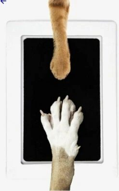 Merkloos Paw Print Pad - Pootafdruk Maken Van Hond Of Kat