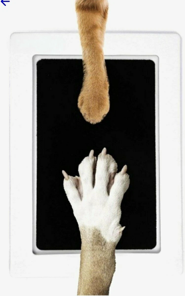 Merkloos Paw Print Pad - Pootafdruk Maken Van Hond Of Kat