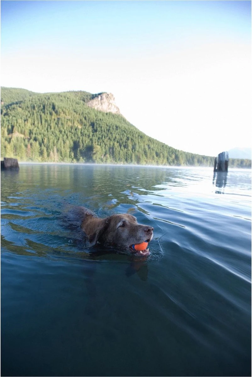 Chuckit! Ultra Bal - L - 7 Cm - Afbeelding 7