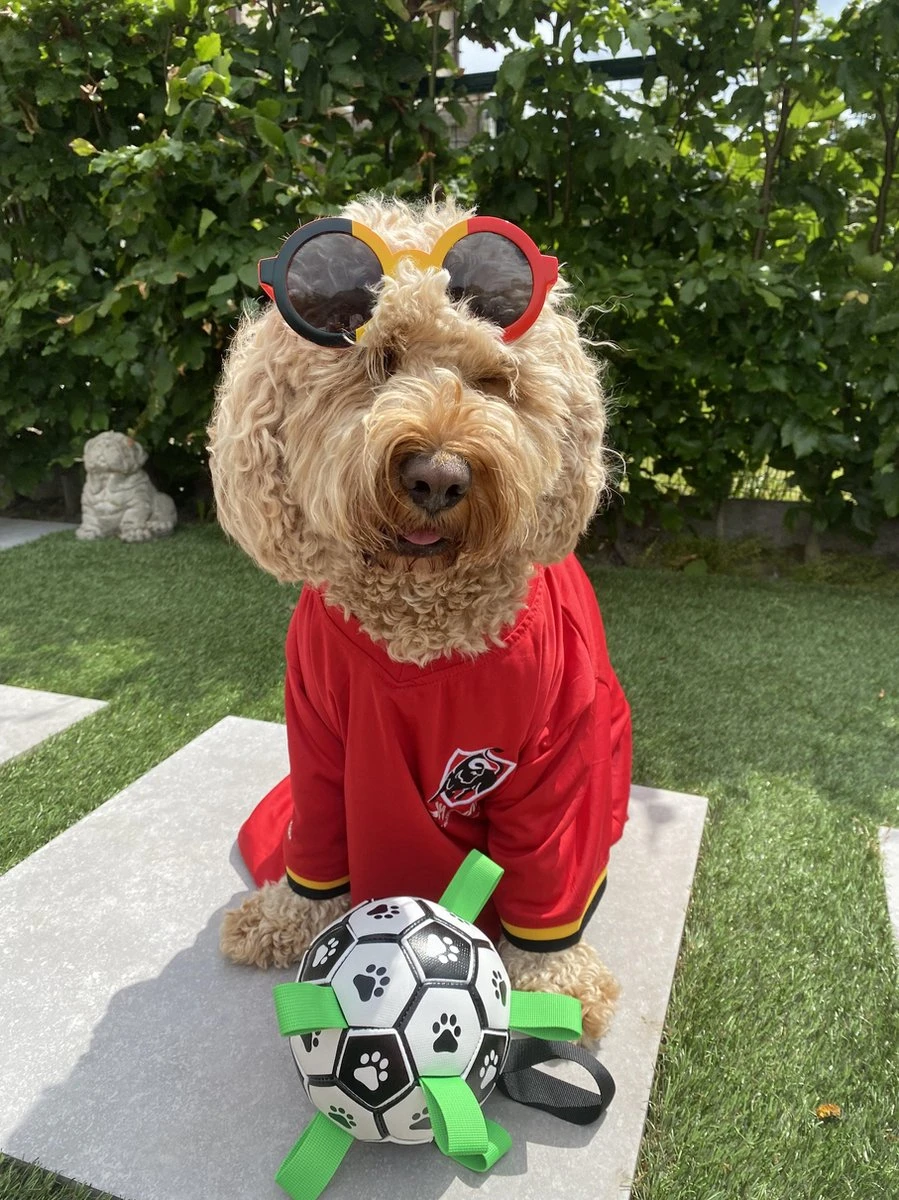 Honden Speelgoed Bal Voetbal Extra Sterk Met Handvaten Ball Hondenbal - 15 Cm - Dutchwide - Afbeelding 9