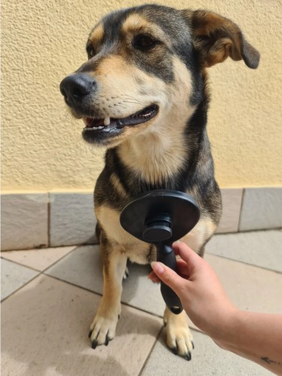 Purlov Zelfreinigende Kattenborstel En Hondenborstel - Haarverwijderaar Voor Huisdieren - Hondenborstel -Hondenhaar Kattenhaar Verwijderaar - Afbeelding 7