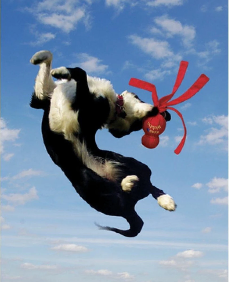 Kong Wubba - Hondenspeelgoed - Assorti - S: 24 Cm - Afbeelding 3